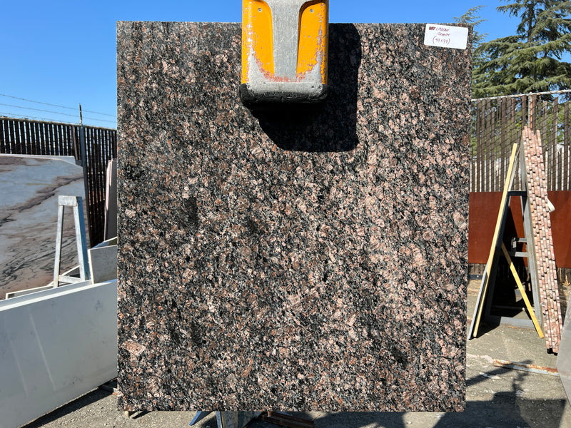 Brown Indian Granite (33x37) Remnant Slab