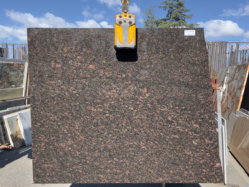 Brown Indian Granite (60x67) remnant slab