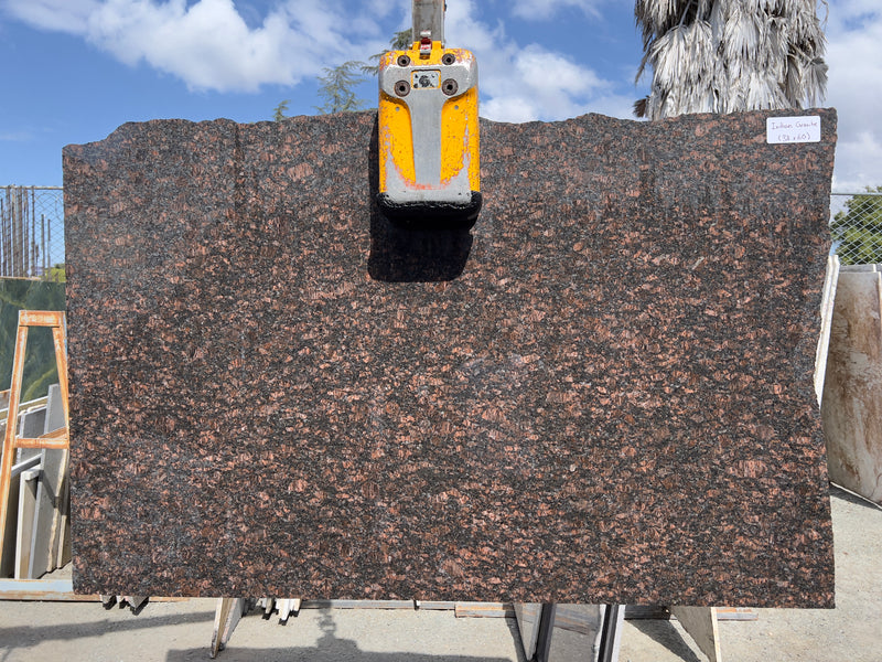 Brown Indian Granite (38x60) remnant slab