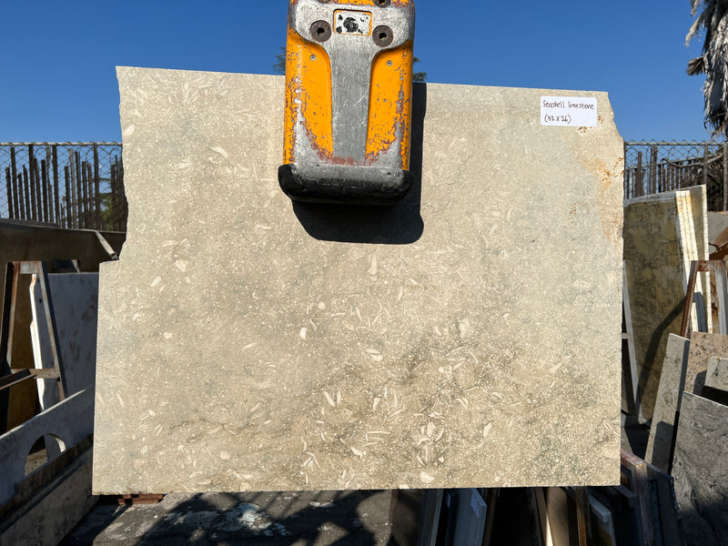 Grey Seashell Limestone (26x32) Remnant Slab